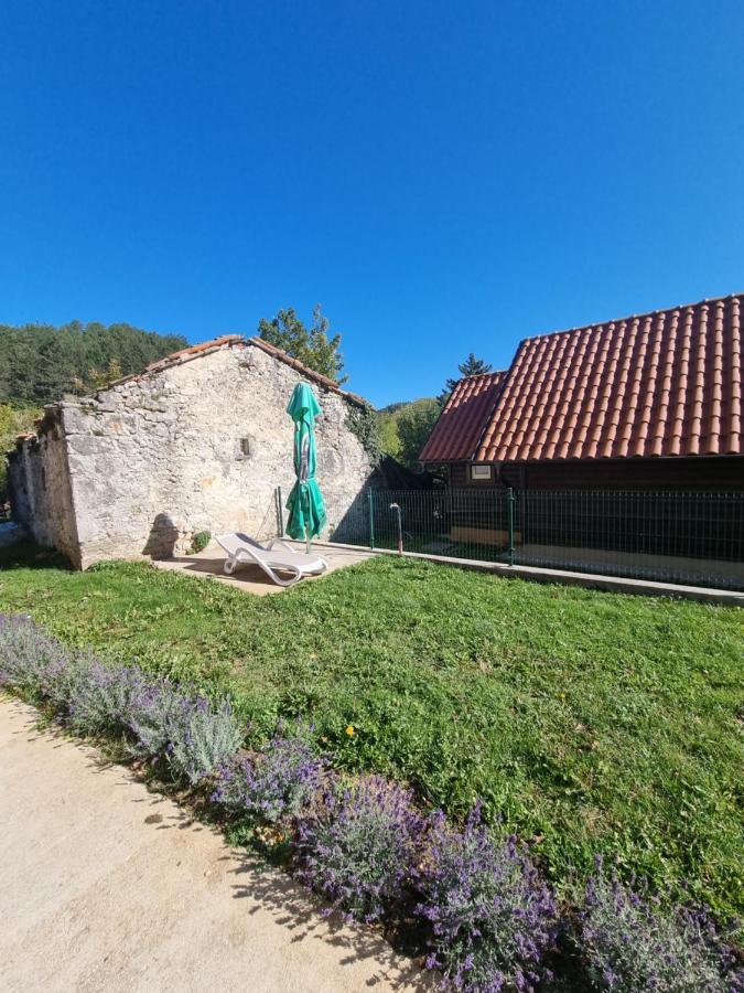 Dobra Hisa Zdravja Cicarija Hotel Golac Exterior foto